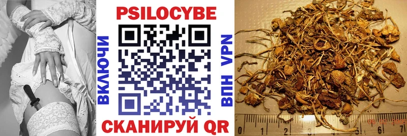 Галлюциногенные грибы Psilocybe  kraken зеркало  Барабинск 